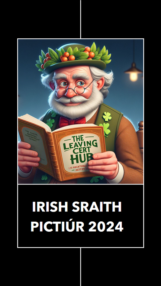 Irish Sraith Pictiúr 2024 (H1 Answers)