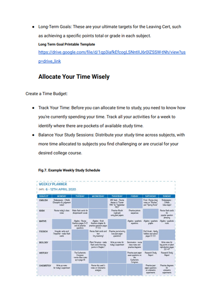 Leaving Cert Study Guide - Maximise Your Results