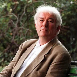 Seamus Heaney Poetry Notes (H1 Sample Essay)