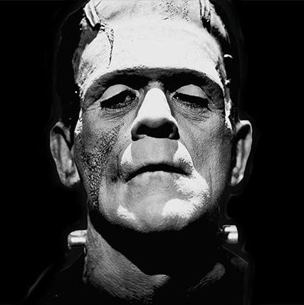 Frankenstein Notes (H1 Sample Essay)